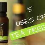 What is the tea tree oil for - Amazing uses