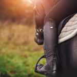 The Complete Guide to Horse Riding for Rookies